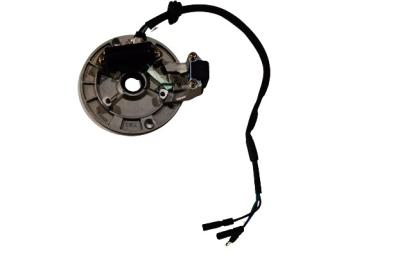 Rotor de Magnato