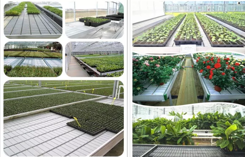 ABS Aquaponics подачи отлива растут Суд парника кровати пластиковый свертывая