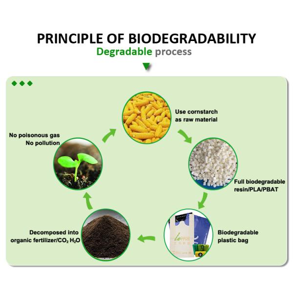 Практически пересылая Biodegradable полиэтиленовые пакеты Tearproof Recyclable