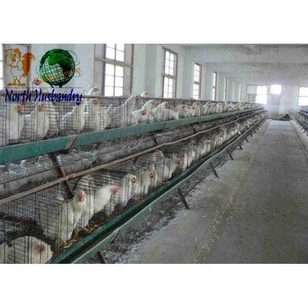 Cooling Pad Machin For Poultry House,Buy Quality
