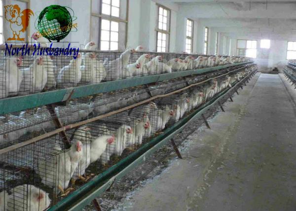 Cooling Pad Machin For Poultry House,Buy Quality