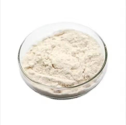 Enzyme alimentaire en poudre d'hémicellulase pour la boulangerie, amélioration des fibres alimentaires