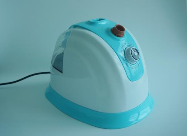 Steam Iron Brush Type Portable Travel Garment Steamer With Lake Blue Color
