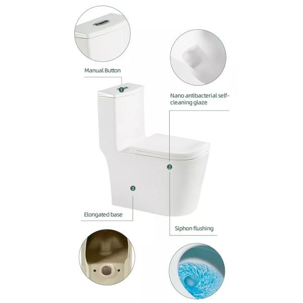Bowl One Piece Water Closet  Jet Siphonic Flushing Compact Elongated Toilet