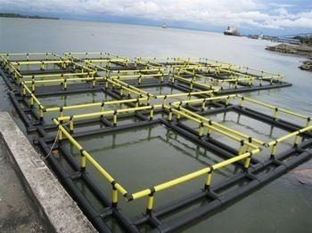 4sq. M To 200sq. M Circular Floating Fish Cage Diameter 6m To 90m