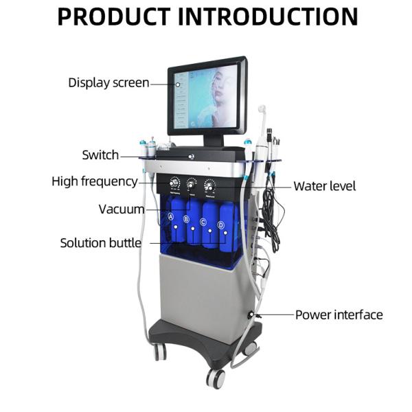 14 In 1 Hydrofacial Dermabrasion Big Bubble Oxygen Spray Facial Led Skin Rejuvenation Machine
