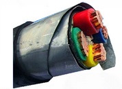 Double Steel Wire Aomoured Aluminum Conductor Pvc Insulated Power Cablewith 0.6 /1kV One To Five Cores Electrical Cables