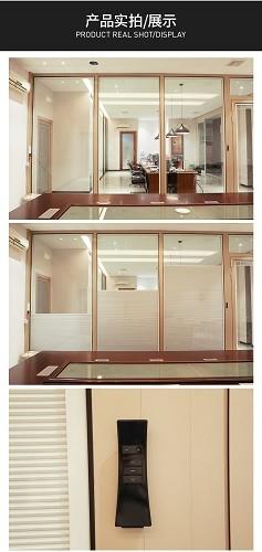 48V electric romote control Glass window glass