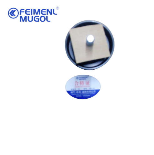 Polea de correa de ventilador de hierro N800 original – Alta resistencia y resistente a la corrosión, OEM AN3-19A216-AA