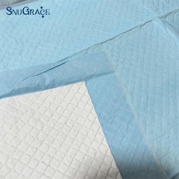 Sustainable Disposable Pet Puppy Training Pee Pad For Dogs And Cats