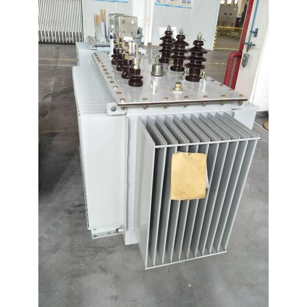 масло 12кВ 800КВА на открытом воздухе трехфазное погрузило трансформатор электричества