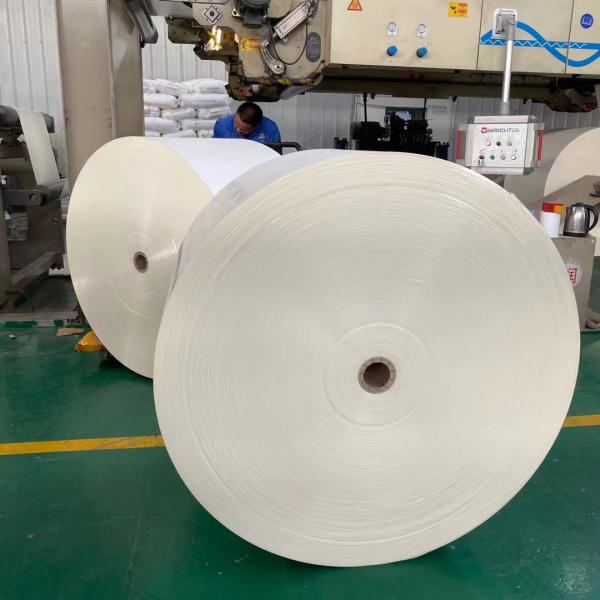 O PE 250gsm reciclável do produto comestível revestiu o papel de embalagem Rolls da matéria prima do copo para fazer bacias dos copos