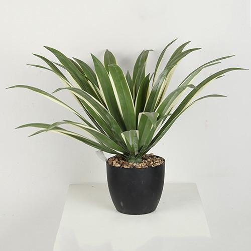 36 agave artificial Americana do CM 40 CM 60 CM
