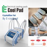 Máquina de congelação gorda do EMS Cryolipolysis da casa para a redução das celulites