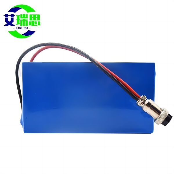 24V 36V 48V Lithium Electric Scooter Battery Pack Waterproof Custom