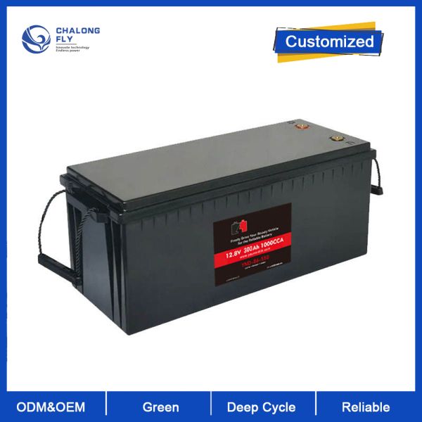 Lifepo4 Battery Pack 12v 100AH 200AH 24v 100ah 200ah 300ah 460ah 48V Lithium Ion Deep Cycle Battery Pack
