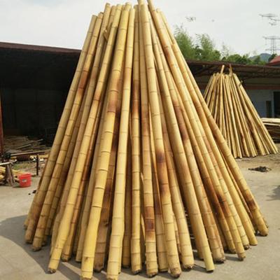 Matière première en bambou de construction