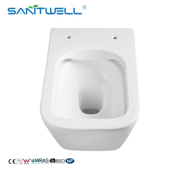 Wc antibacteriano sin rebordes satinado nano del tapiz