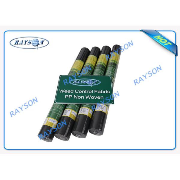 Water Permeable Agriculture Non Woven Cover 70gsm With UV Treated