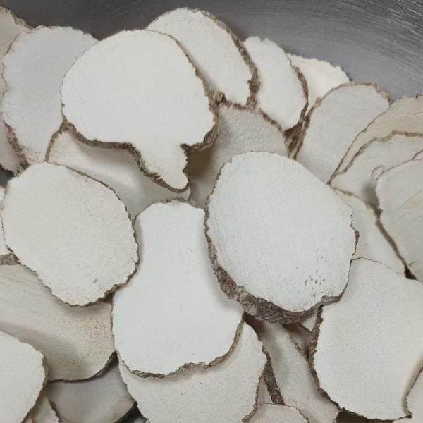 La leche del tigre de Yunnan hongo de salud Ingredientes alimenticios naturales y orgánicos