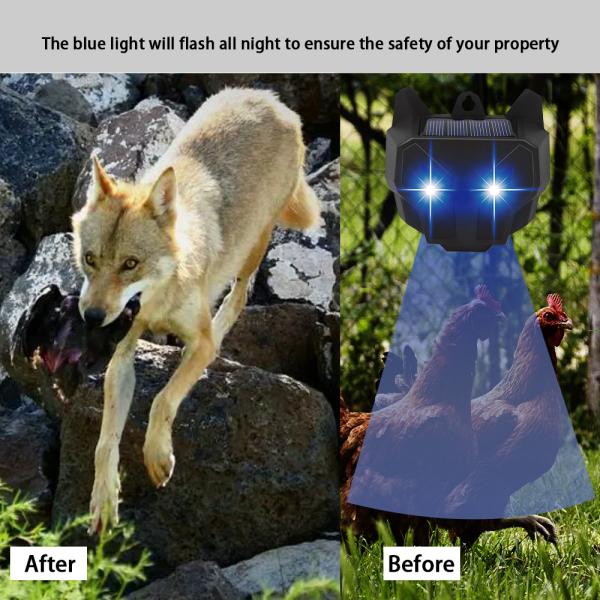 Solar Powered Red LED Lights Cockroach Trap and Raccoon Deterrent for Home Perimeter