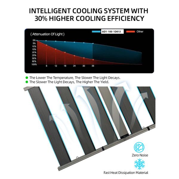 Wide Version 1500w LED Grow Light Full Spectrum For Indoor Grow Rooms / Greenhouses