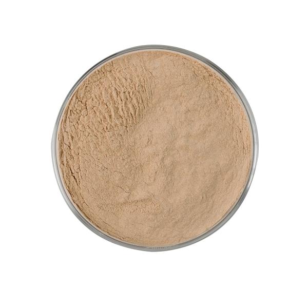 A Specially Designed Feed Grade Protease (BP 100) Protease Enzyme with Excellent Solubility for Industrial Requirements