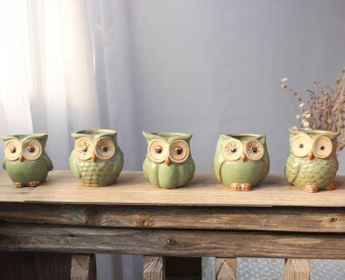 Succulent Creative Owl Animals Plant Flowerpots