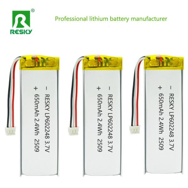 PCM Protected 602248 3.7V 650mAh Lithium Polymer Battery With 10K NTC For Smart Wearables