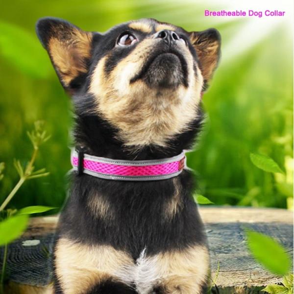 Multi Size 3M Reflective Tape Dog Collar , Night Reflective Dog Collar For Pet