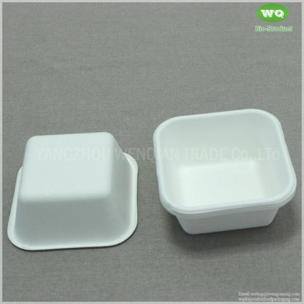 250ml Disposable Square Food Container Made By Sugarcane Bagasse With Clear PET Lid-Easy Green Disposable Food Container