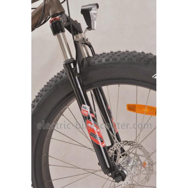 350 Watt Beach Cruiser Battery Powered Bike 36V 10Ah Pedals Assisted