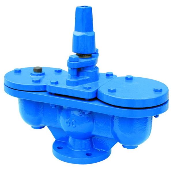 Q10 Original Cast Iron Plastic Spraying SS304 Air Vent Valve