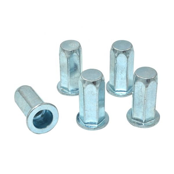 FH-FHBC Steel Full Hex Body Close End Rivet Nuts Flat Head Zinc Plated Nuts
