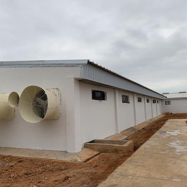 Livestock 54 Fiberglass Exhaust Fan For Poultry House Ventilation Fan