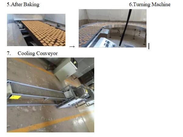 SR -300 Stainless Steel Pet Treats Biscuit Pressing Machine With CE Certificated