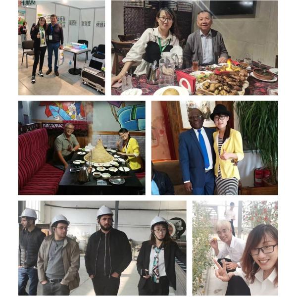 Вентилятор выхлопного газа для птицеводческой фермы