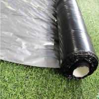 Films en plastique à paillis UV argent noir 25um/30um/35um pour l'agriculture