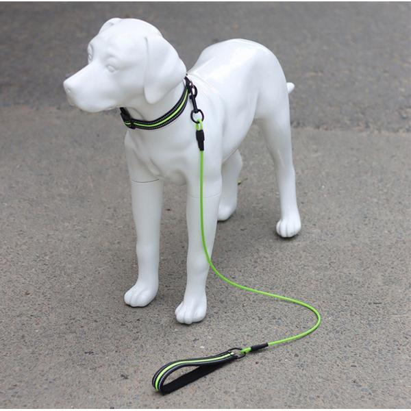 Comfortable Soft Padded 4FT Pet Leash Metal Anti Chew Leash Strong Anti Bite