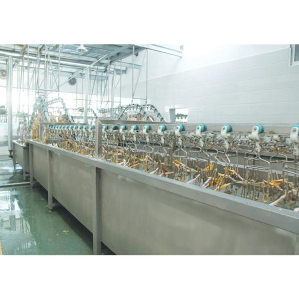 Halal Duck Goose Poultry Slaughtering Equipment Customized For Farm