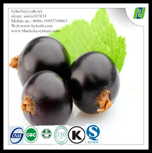 Food Grade Organic Black Currant Powder
