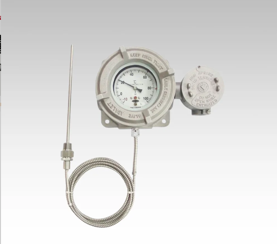 Industrial Explosion-proof Temperature Controller Switch NEW-FLOW ETS5000 With SS316 Sensor