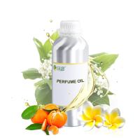 Romance Perfumes Óleo de fragrância Woody Scent óleo de perfume original