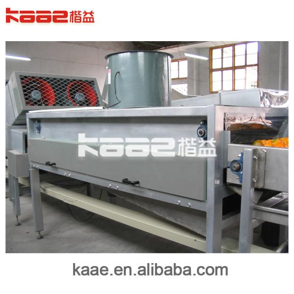 Full Auto Photoelectrical Fruits Grader Line For Fruits And Vegetables Sorting And Grading