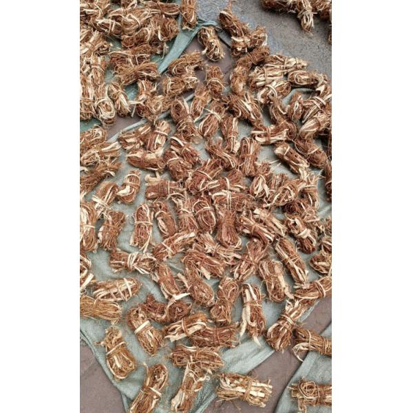 Herbes Pêche à cinq doigts Suppléments à base de plantes chinoises OEM ODM