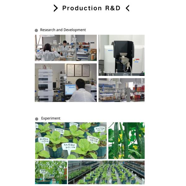Удобрение аминокислоты 80% био органического удобрения аминокислоты 80% удобрений источника растения ферментативное лиственное