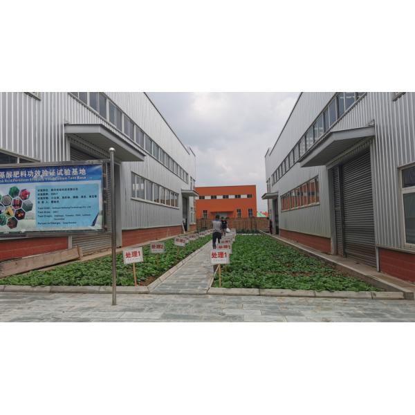 Water Solubility Aminal Amino Acid Chelate Boron Organic Fertilizer For Field Crops