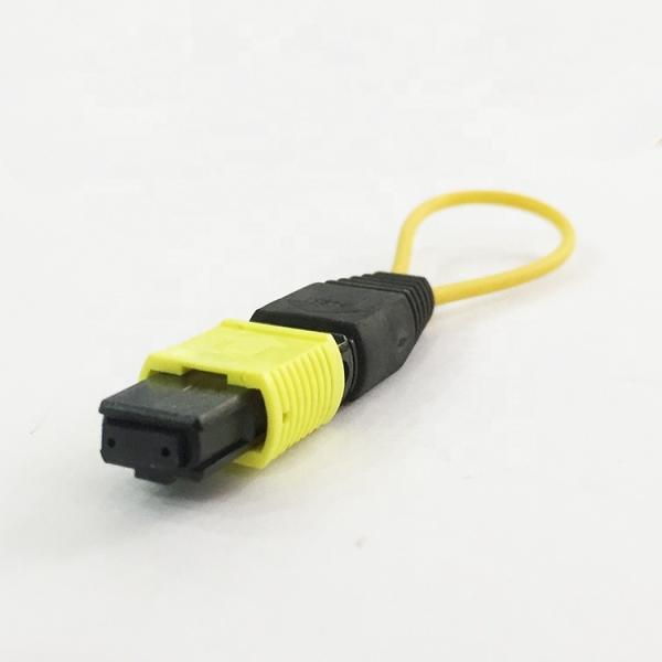 0.3m 12 Core SM MM Female Male MPO MTP Loopback