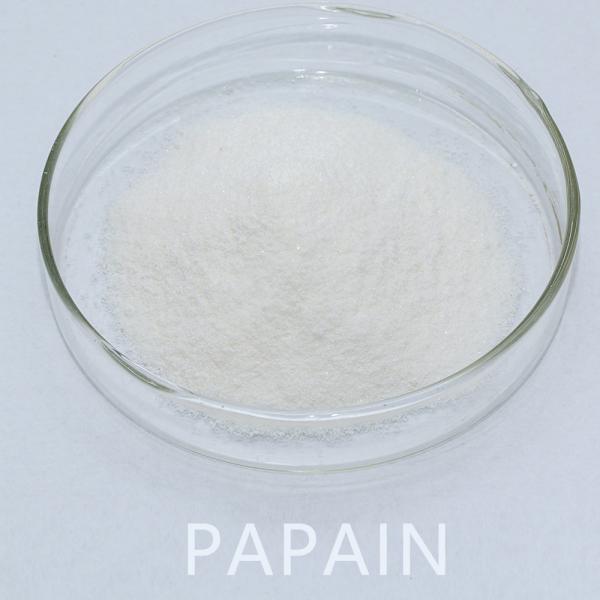 Enzyme Papain 50TU/MG-1000TU/MG Providing Enzyme Preparation Sample Minimum Order 1kg