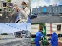 Viscosidade 1% Brookfield Viscosidade 5000-8000 Grau de perfuração de petróleo Cmc / Cmc Perfuração de petróleo